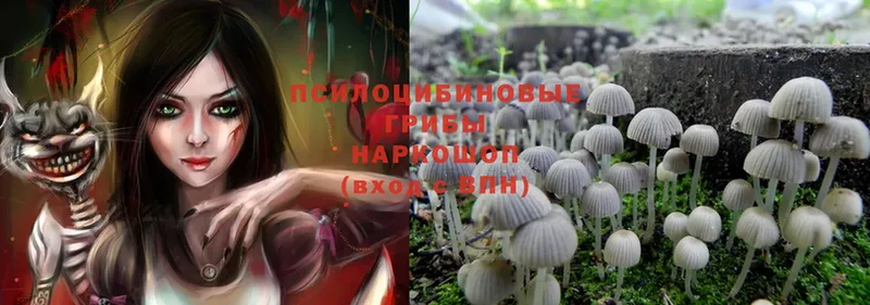 где продают наркотики  Краснокаменск  Галлюциногенные грибы Magic Shrooms 